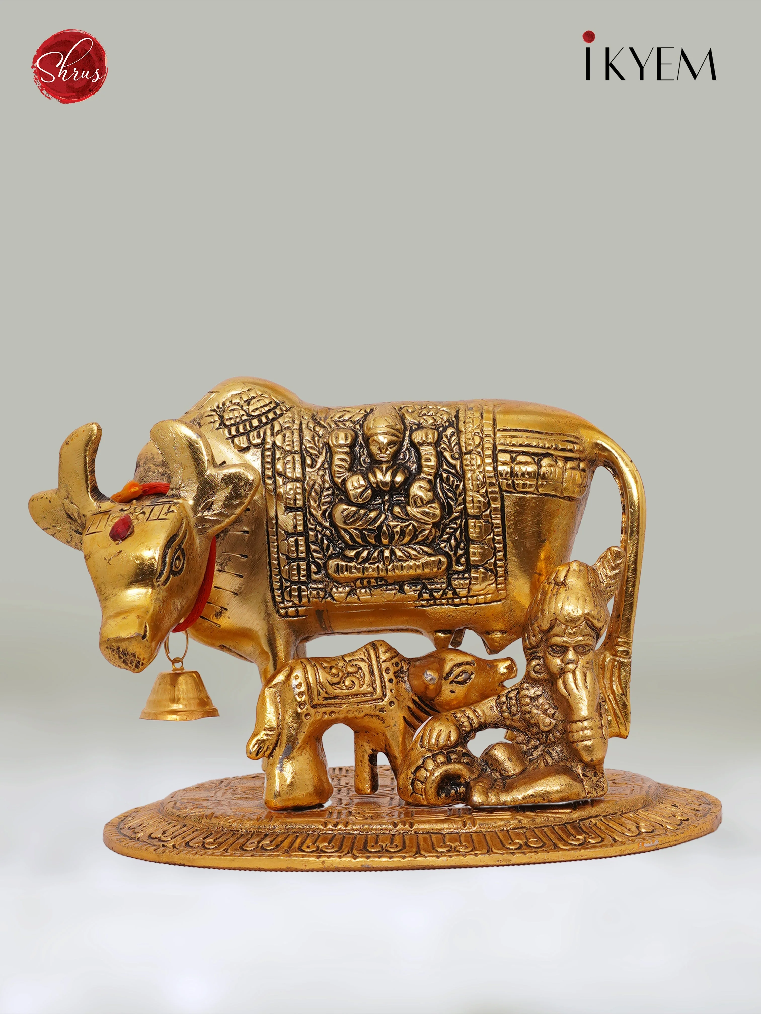 Cow & Calf - Image 4