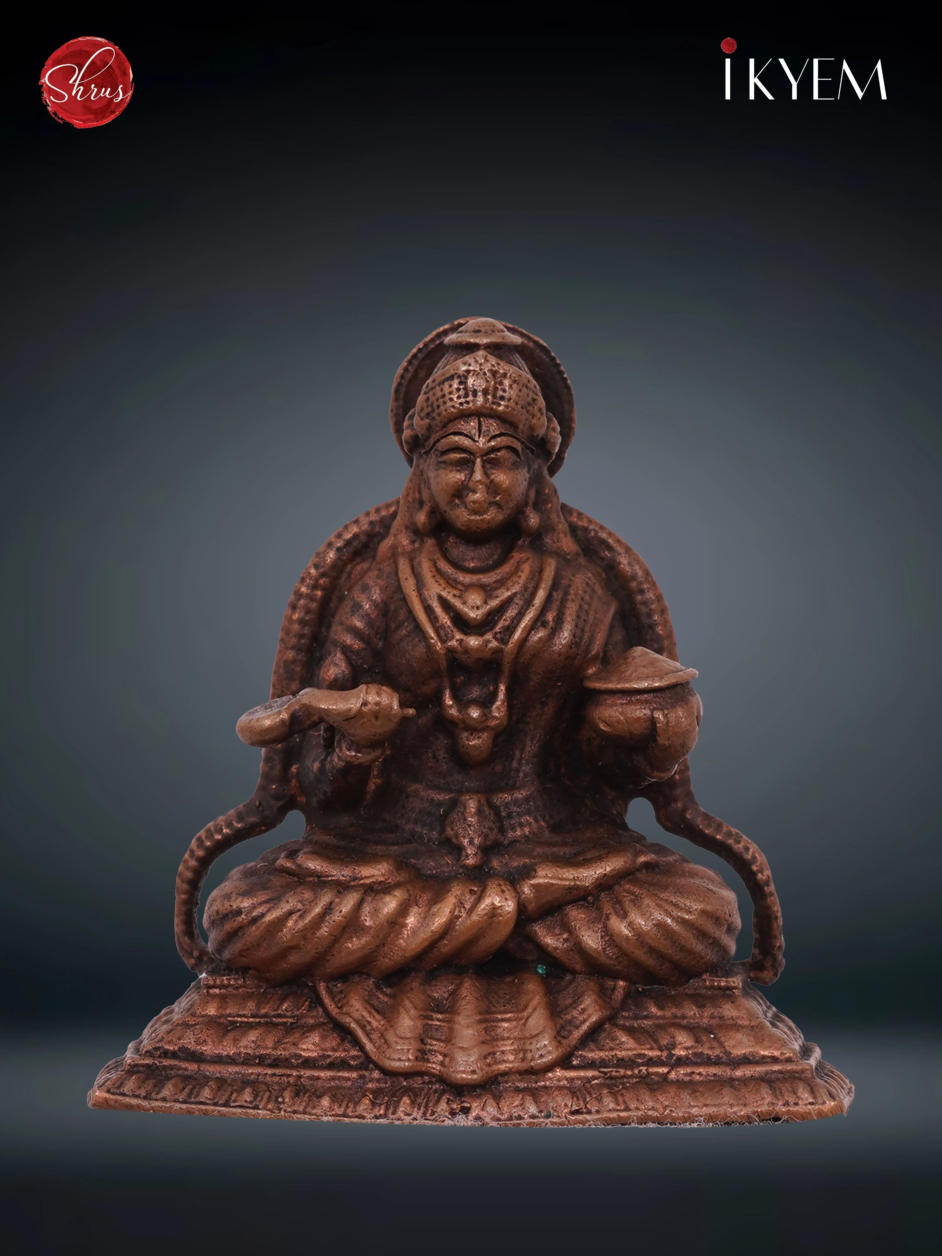Annapoorni - Copper Idol