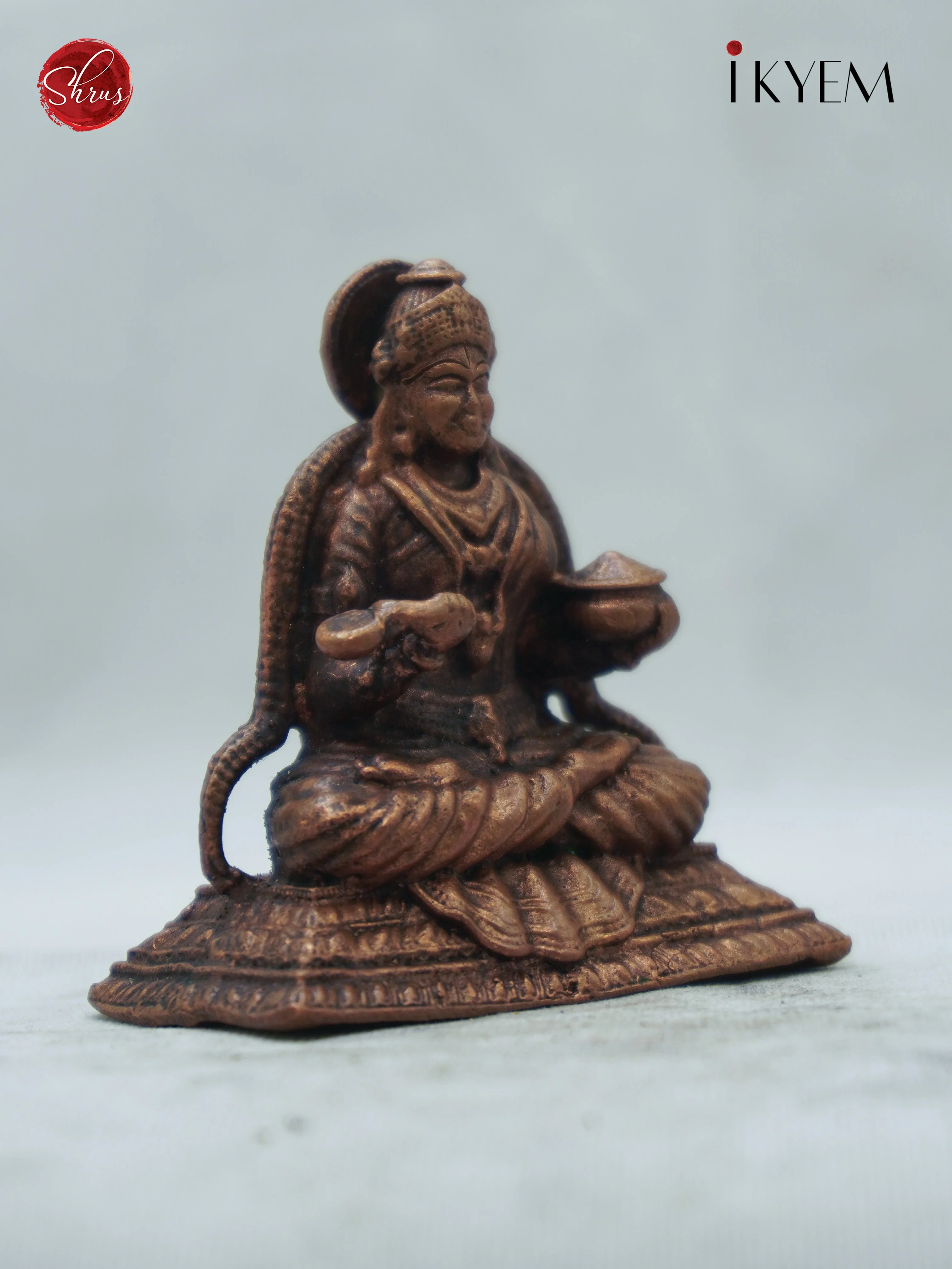 Annapoorni - Copper Idol - Image 2