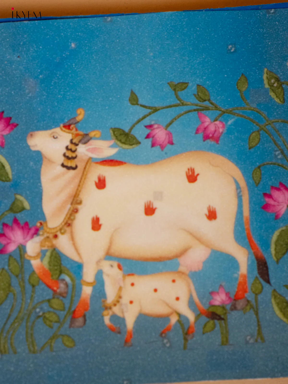 Elegant Blue Pichwai Cow & Calf Wooden Chowki - KC20116 - Image 3