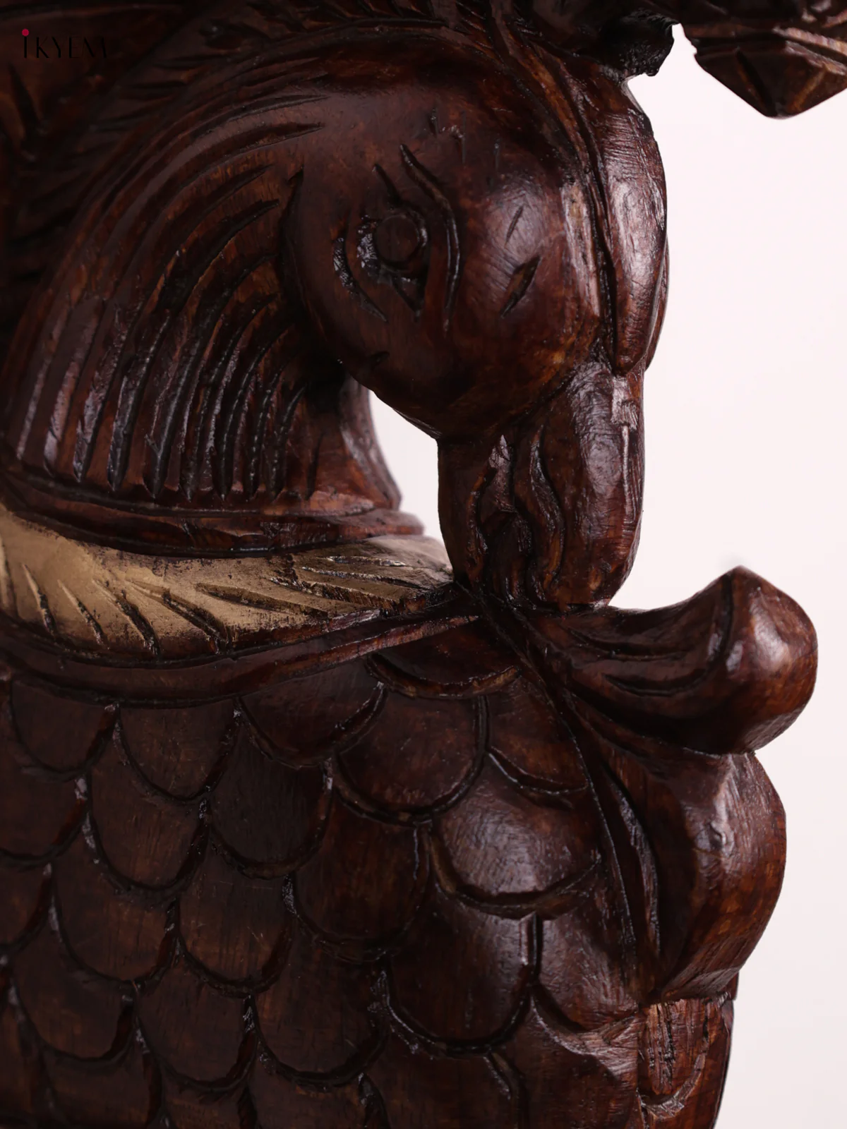 Wooden - Parrot Wall Bracket - Set OF - 2 - KEB1001 - Image 2