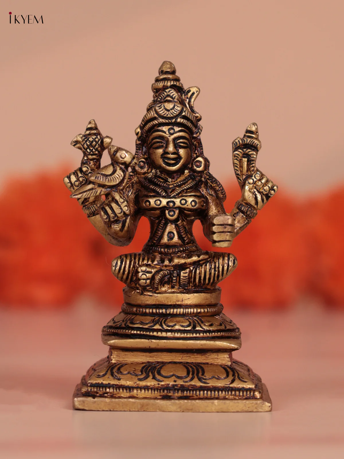 Brass Kamatchi Amman idol