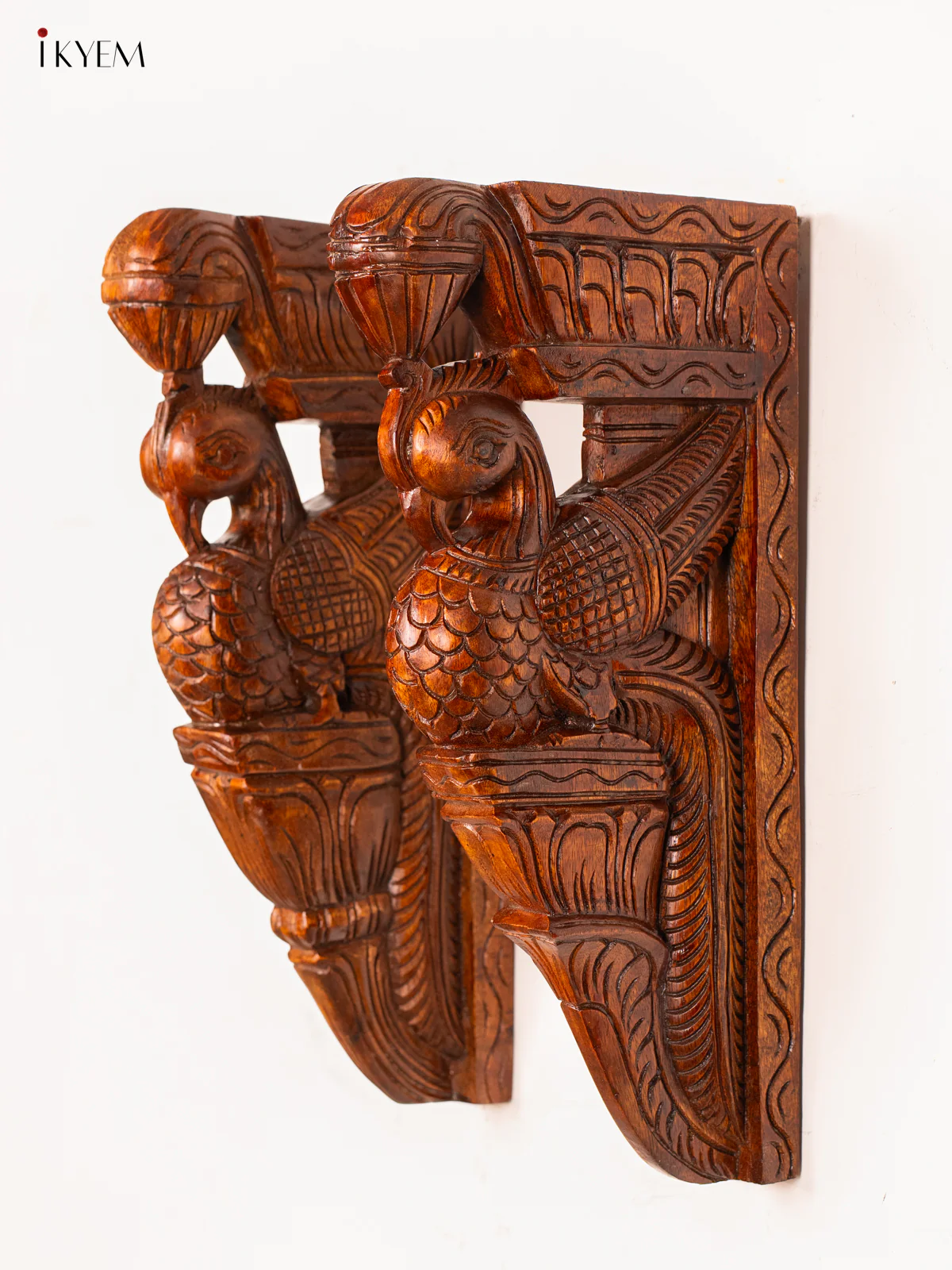 Handcrafted Wooden Parrot Wall Bracket - 18 Inch - KN01155